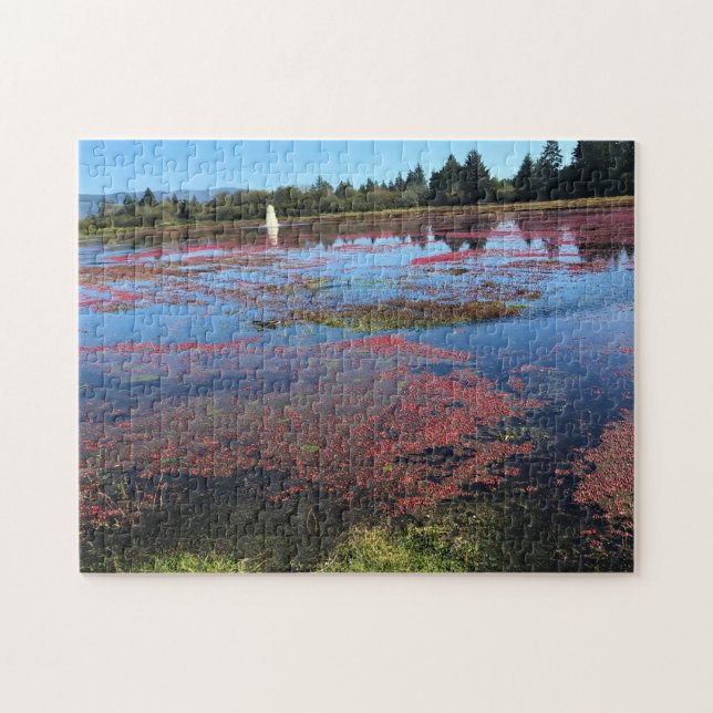 Cranberry Farm, Long Beach, Washington Puzzle (Horizontal)