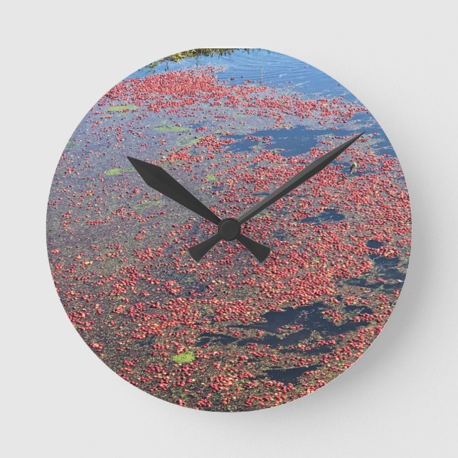 Cranberry Farm, Long Beach, Washington Runde Wanduhr (Vorderseite)