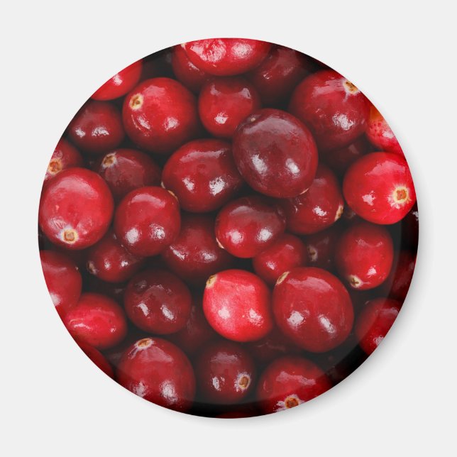 Cranberry-Hintergrund Magnet (Vorne)
