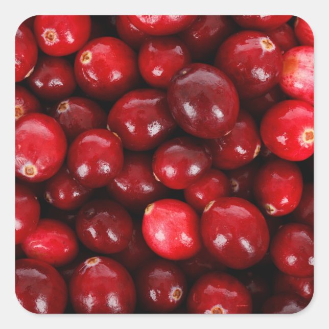 Cranberry-Hintergrund Quadratischer Aufkleber (Vorderseite)
