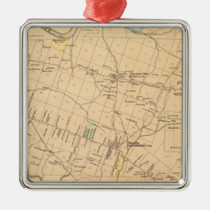 Cranberry Township Silbernes Ornament