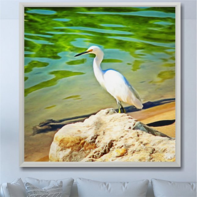 Crane auf dem Mismaloya River 0335 Art Print Poster (Von Creator hochgeladen)