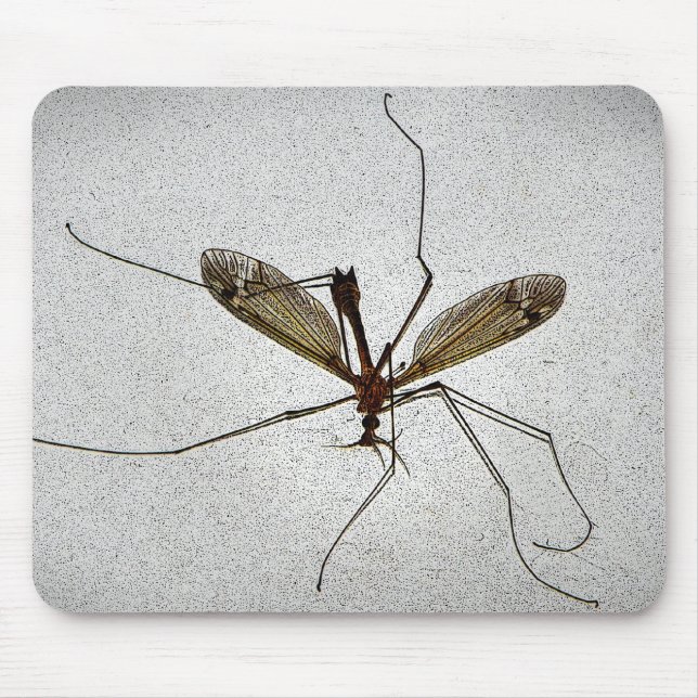 Crane Fly Insect Mousepad (Vorne)