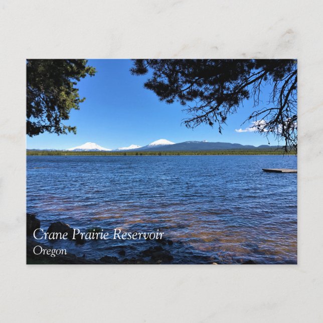 Crane Prairie Reservoir, OR Postkarte (Vorderseite)
