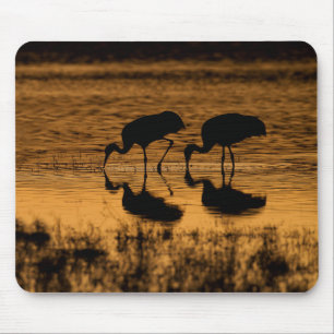 Cranes Silhouette vom Sonnenuntergang Mousepad