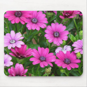 Cranesbill Pelargonie (rosa Blumen) Mousepad