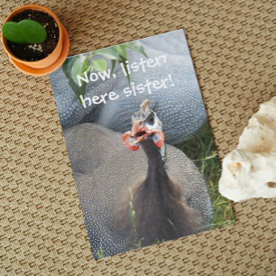 Cranky Guinea Fowl Foto Funny Birthday Karte