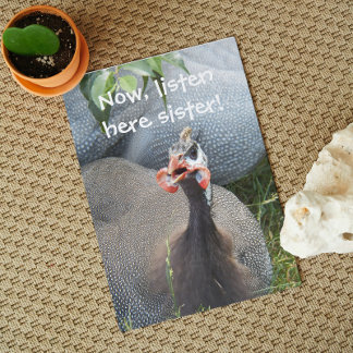 Cranky Guinea Fowl Foto Funny Birthday Karte