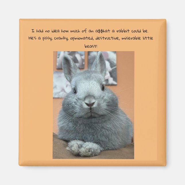 Cranky Rabbit Kühlschrankmagnet Magnet (Vorne)