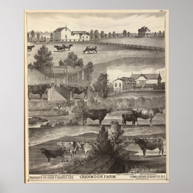 Cranmoor Farm, Toms River, NJ Poster (Vorne)