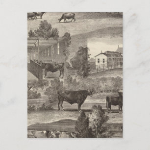 Cranmoor Farm, Toms River, NJ Postkarte