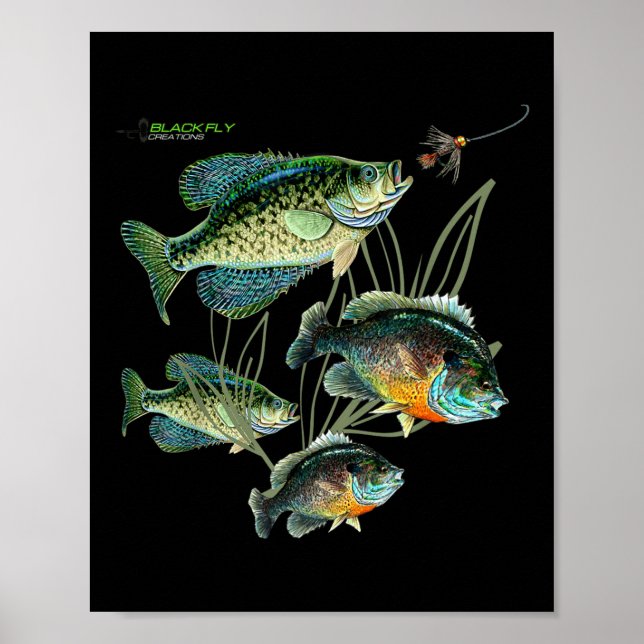 Crappie Bluegill Fishing Shirts Hoodies Black Fly  Poster (Vorne)