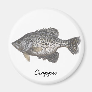 CRAPPIE, Crappie Magnet