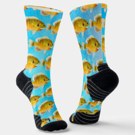 Crappie Fisch und Blaue Wassersocken Socken