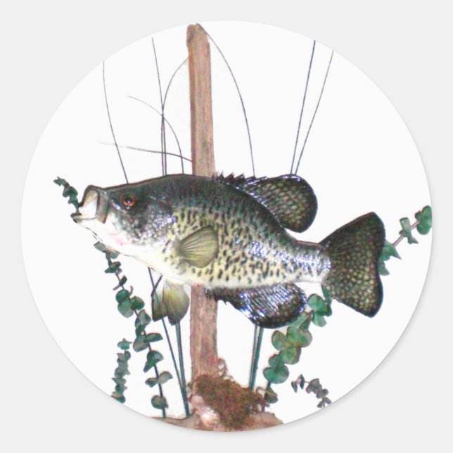 Crappie Mount Runder Aufkleber (Vorderseite)