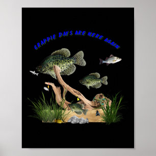 Crappie-Tage sind wieder da Spaß im Freien Angeln  Poster