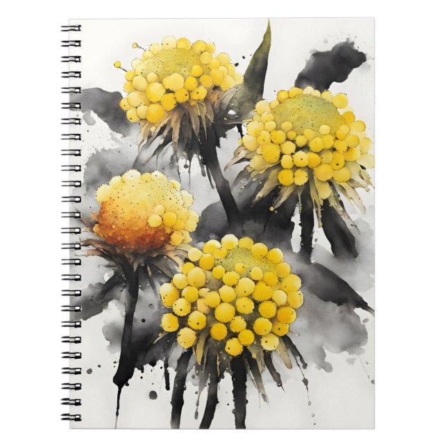 Craspedia - Aquarellblumen Notizblock (Vorderseite)
