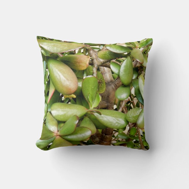 Crassula ovata Throw Cushion Kissen (Vorderseite)