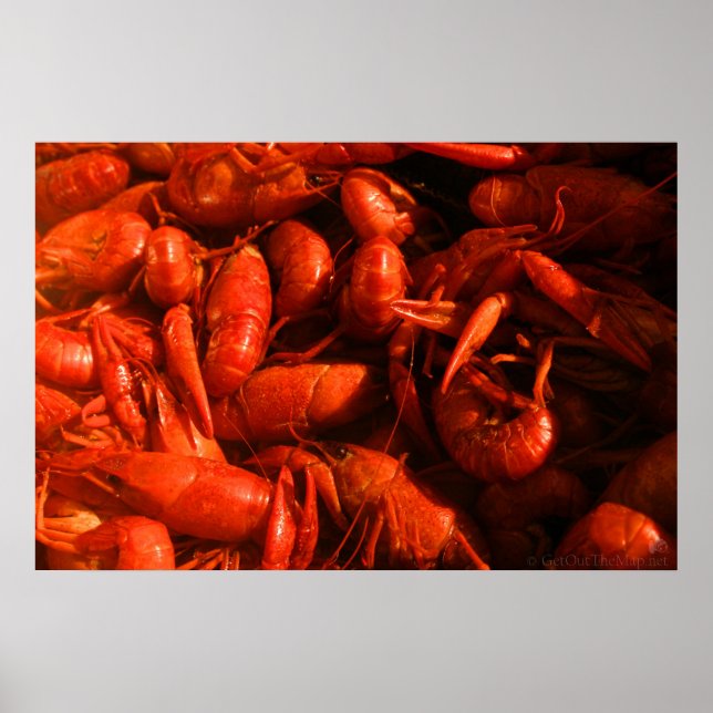 Crawfish-Druck Poster (Vorne)