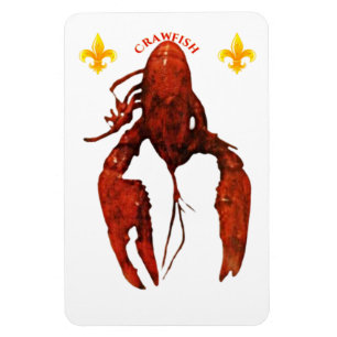 Crawfish Foto Magnet