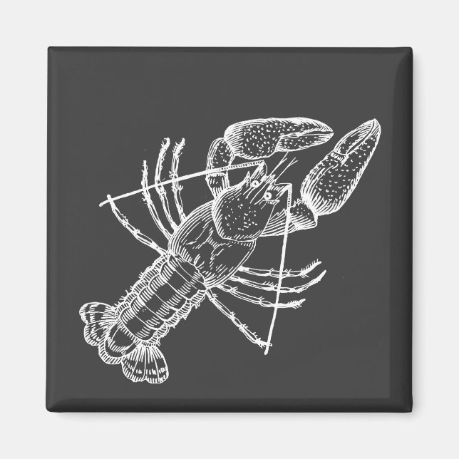 Crawfish Illustration weiß auf schwarz Magnet (Vorne)