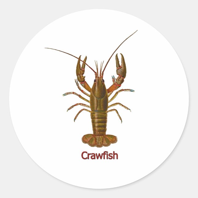 Crawfish-Logo Runder Aufkleber (Vorderseite)
