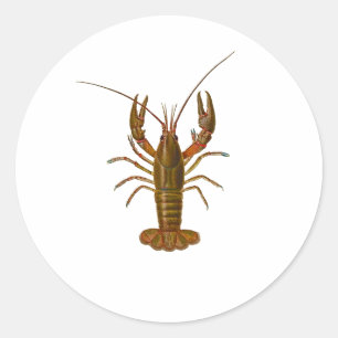 Crawfish-Logo Runder Aufkleber