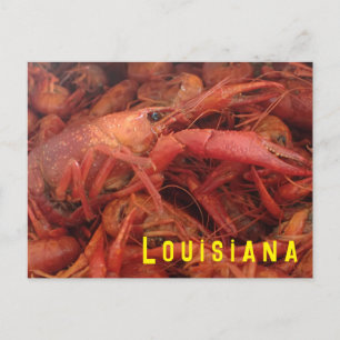 Crawfish Postkarte