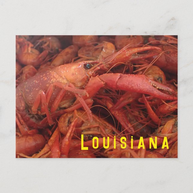 Crawfish Postkarte (Vorderseite)