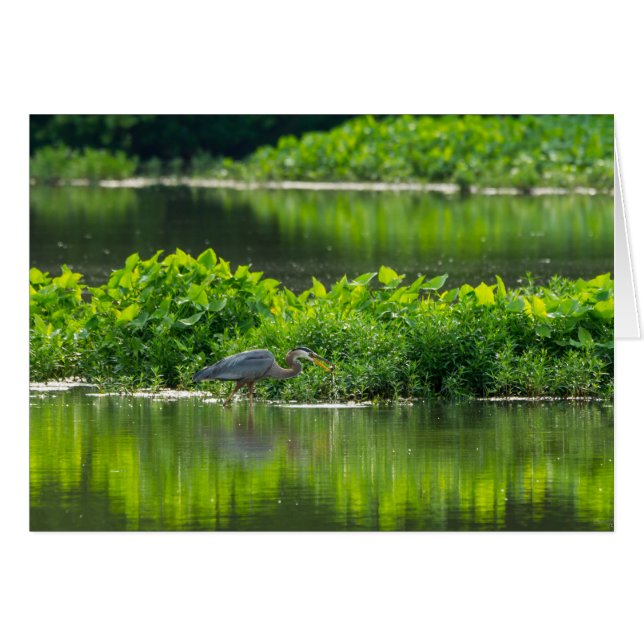 Crawfish-Zeit (Vorderseite (Horizontal))