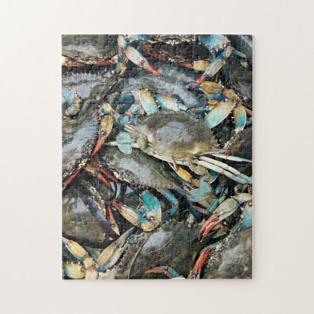 Crawling über Stone Shore farbiges Naturmeer Puzzle (Vertikal)