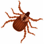 Crawly Realistic Tick Illustration Fotoskulptur Magnet<br><div class="desc">Dies ist eine Abbildung eines Hundeticks. Ein Zecken ist ein kleiner blutiger Arachnid. Ticks Liebe Camper. Verwenden Sie die Schaltfläche Anpassen,  um einen Namen,  eine Nachricht,  ein Bild zu ändern oder die Hintergrundfarbe zu ändern.</div>