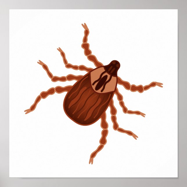 Crawly Realistic Tick Illustration Poster (Vorne)