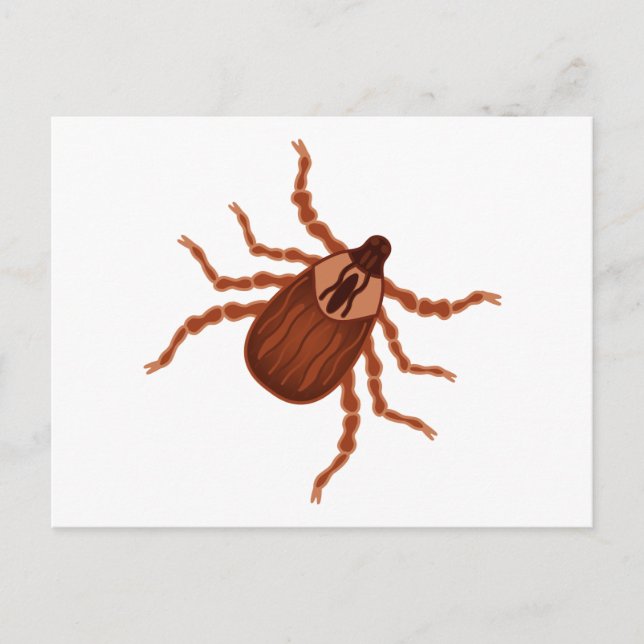 Crawly Realistic Tick Illustration Postkarte (Vorderseite)
