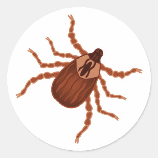 Crawly Realistic Tick Illustration Runder Aufkleber