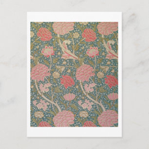 "Cray", 1884 Postkarte