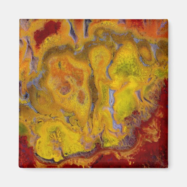 Crayola Jasper Magnet (Vorne)