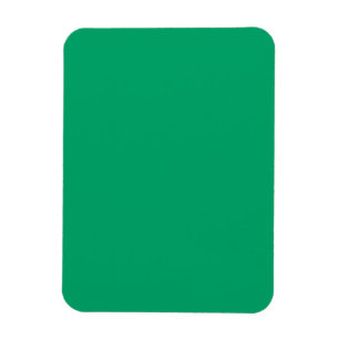 Crayon Color Green Flexible Foto Magnet