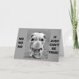 CRAZY CAMEL COMEDIAN SAGT, DASS MAN NICHT "40" SEI KARTE