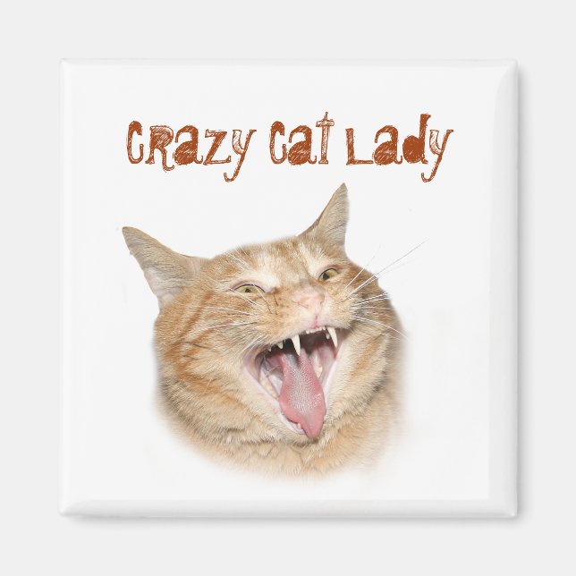 Crazy Cat Lady Magnet (Vorne)