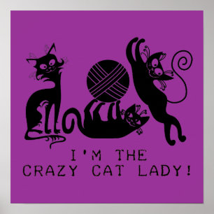 Crazy Cat Lady Poster