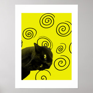 Crazy Cat Poster