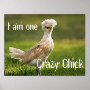 Crazy Chick Funny Poster