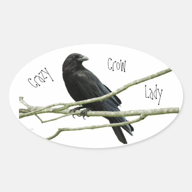 Crazy Crow Lady Oval Sticker (Vorderseite)