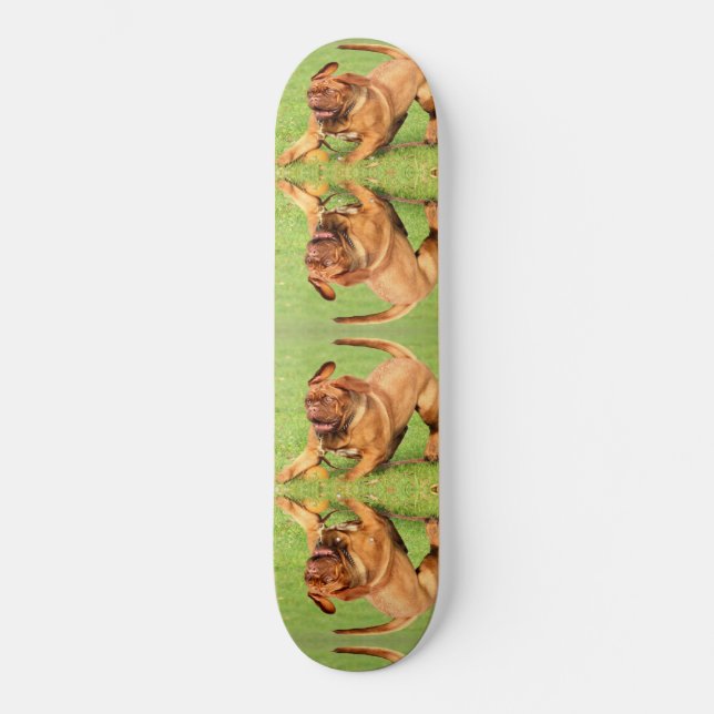 Crazy Dog Skateboard (Vorderseite)