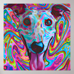 Crazy Funky Whippet Dog Portrait Art Poster