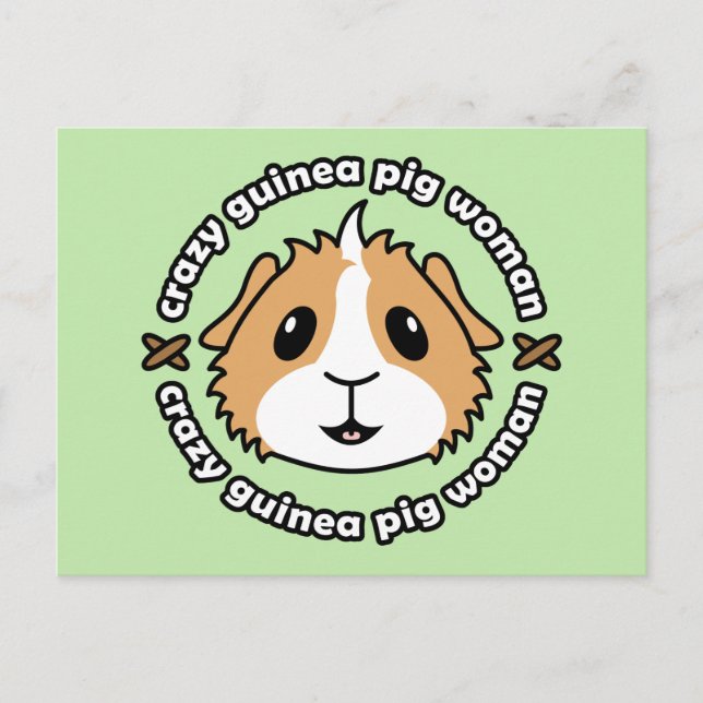 Crazy Guinea Pig Frau Postcard Postkarte (Vorderseite)