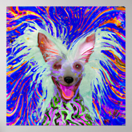 Crazy Happy Chinese Crested Art Portrait Poster