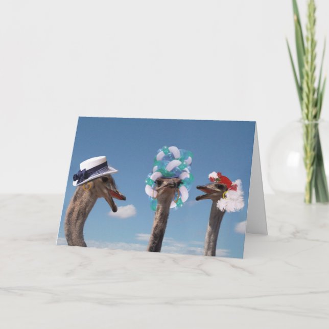 Crazy Hat Day bei den Rennen Karte (Vorderseite)