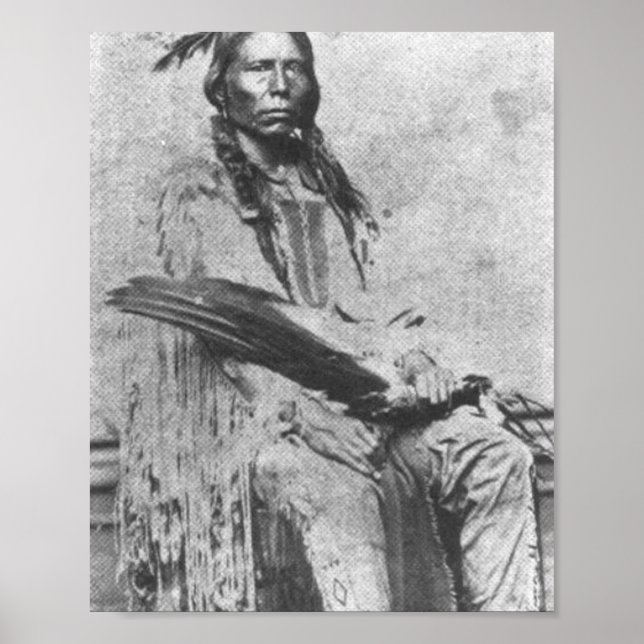 Crazy Horse Poster (Vorne)